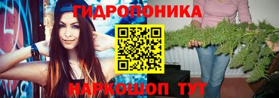 mdpv Химки
